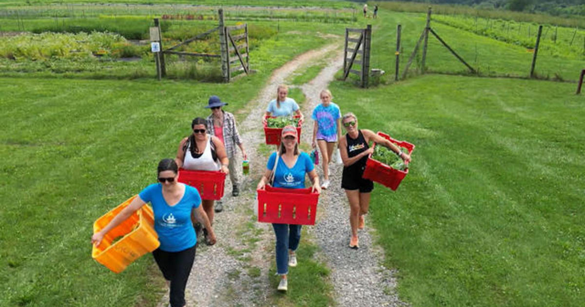 Volunteers across U.S. team up with farms to bring fresh produce to those in need