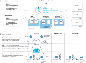 Scalable genomic data exchange and analytics with sBeacon