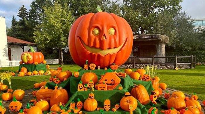 VIDEO: Denmark celebrates Halloween with giant Lego pumpkin, spider, and much, much more