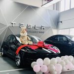 Tesla Model 3 Highland at Max Production Rate As China Deliveries Start