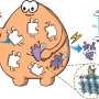 New double z-scheme photocatalyst for selective removal of sulfamethoxazole in water