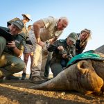 News24 | 20 years and 200 rhinos later: How conservationists are growing the black rhino population