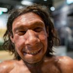 New Study Explores Why Some People Have So Much Neanderthal DNA