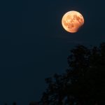 Full Hunter’s Moon puts on a spooky display today with partial lunar eclipse