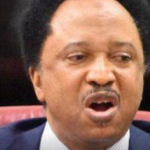 The blood covenant between the governors and their godfathers is discussed by Senator Shehu Sani.