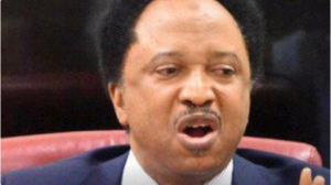 The blood covenant between the governors and their godfathers is discussed by Senator Shehu Sani.