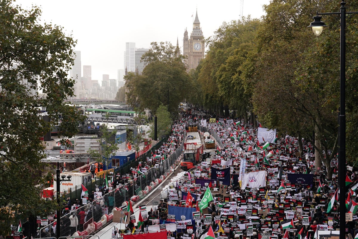 100,000 pro-Palestinian protesters take to London streets to demand ceasefire