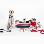 US fashion brand Kate Spade and Italian furniture brand Poltrona Frau unleash luxury accessories for pets