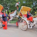 Diamond Appiah Brags Differently As She Storms London In A Horse-Drawn Carriage