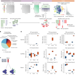 Supervised discovery of interpretable gene programs from single-cell data