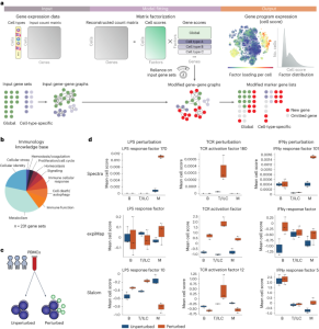 Supervised discovery of interpretable gene programs from single-cell data