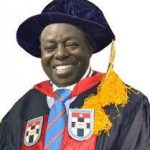 The only lucrative business in this country is politics — Afe Babalola