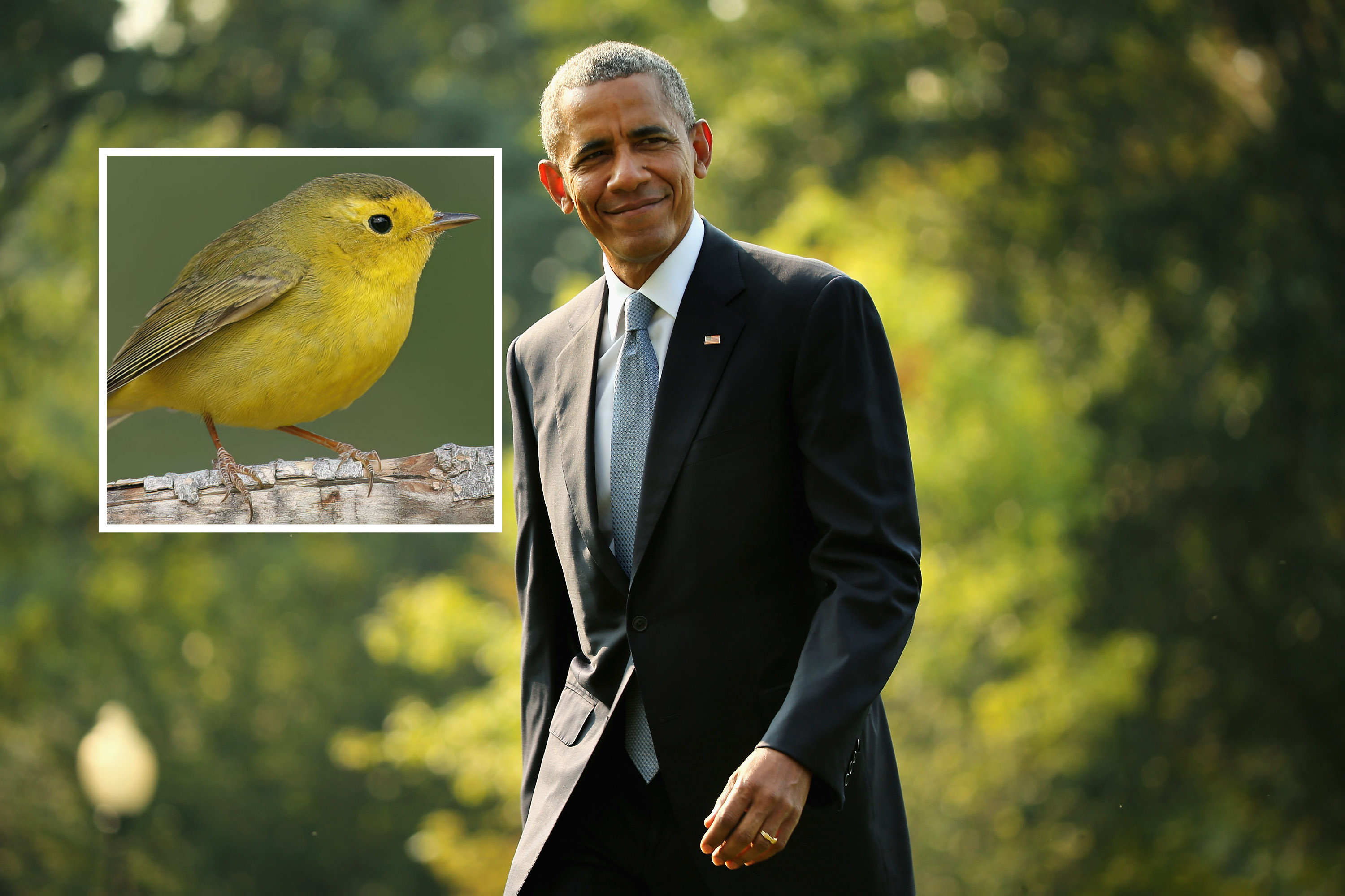 Will Obama Lose His Bird After Names Are Purged?