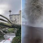 Seven dead after Storm Ciaran in Europe