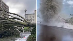 Seven dead after Storm Ciaran in Europe