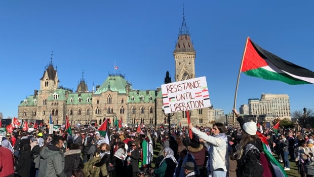 Pro-Palestinian marches held across Canada amid global demonstrations