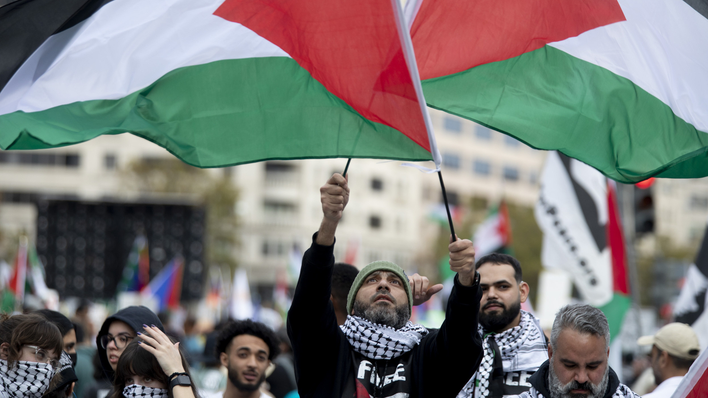 Tens of thousands gather for pro-Palestinian march in D.C. to demand Gaza cease-fire