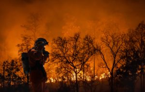 Rogers leverages AI and SpaceX technology to fight wildfires in British Columbia