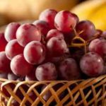 This is why red grapes are better than any other variety