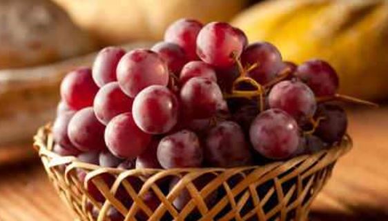 This is why red grapes are better than any other variety