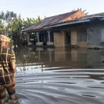 Floods Loom in Adamawa, Eight Other States as Cameroonian Dam Releases Water