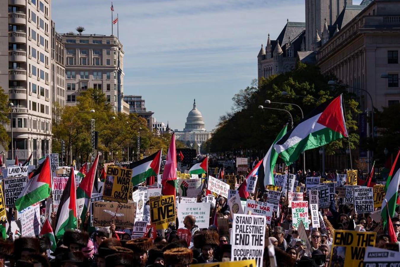 Thousands Descend On Washington For Gaza Cease-Fire Rally (Photos)