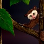 Paleontologists Find New Fossils of Enigmatic North American Primate