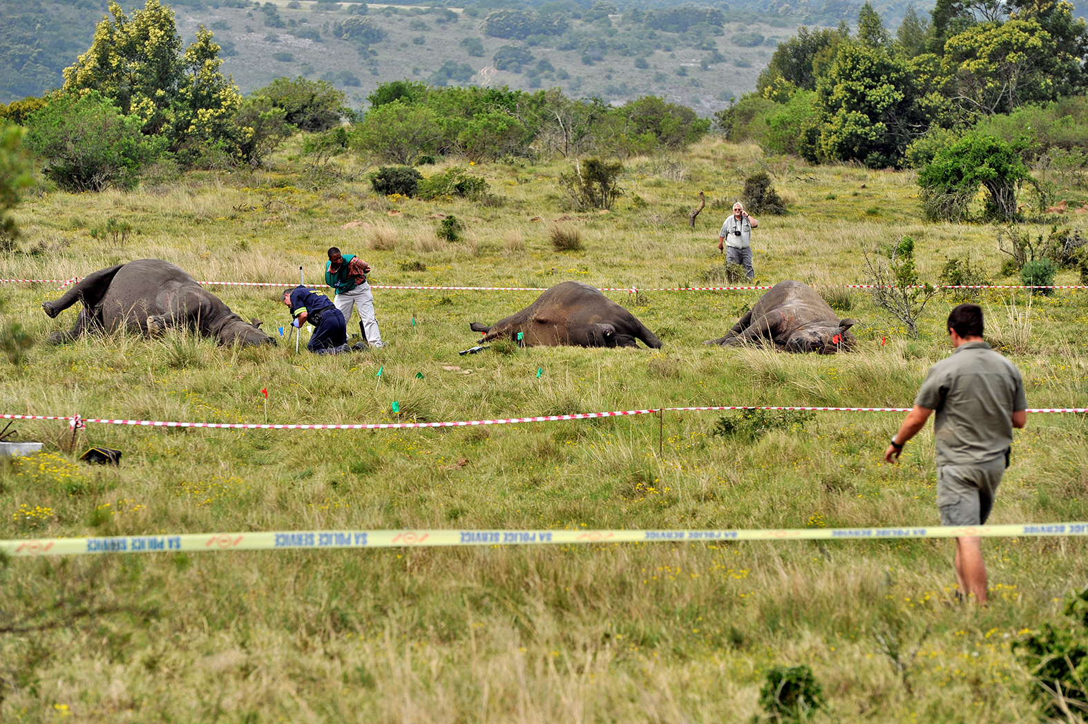 Strategies to prevent SA borders turning into corridors of crime