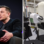 ERIN ELMORE: Elon Musk gets greenlight to test brain implant technology on humans