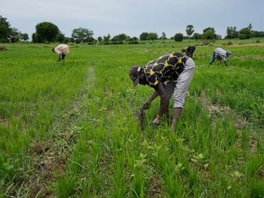 IMF and World Bank are urged to boost funding for African nations facing conflict and climate change