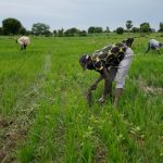 IMF and World Bank are urged to boost funding for African nations facing conflict and climate change