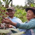 New UN report: 43.2 million people suffer from hunger in Latin America and the Caribbean, and the region has higher levels of overweight and obesity than the global estimate