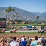 How To Bet On Breeders’ Cup In South Carolina – Best SC Horse Racing Betting Sites