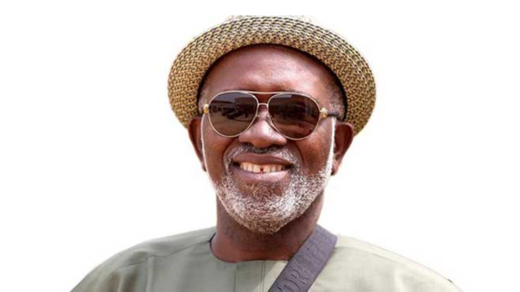 Supreme Court affirms Achonu as Labour Party’s candidate for Imo Guber Election