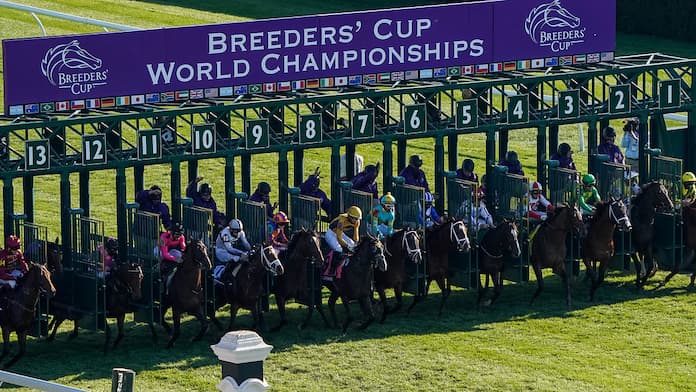 How To Bet On Breeders’ Cup In Kentucky – Best KT Horse Racing Betting Sites