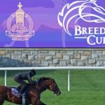 How To Bet On Breeders’ Cup In Hawaii – Best HI Horse Racing Betting Sites