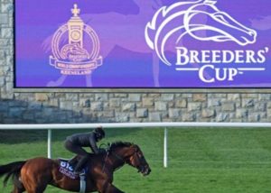 How To Bet On Breeders’ Cup In Hawaii – Best HI Horse Racing Betting Sites