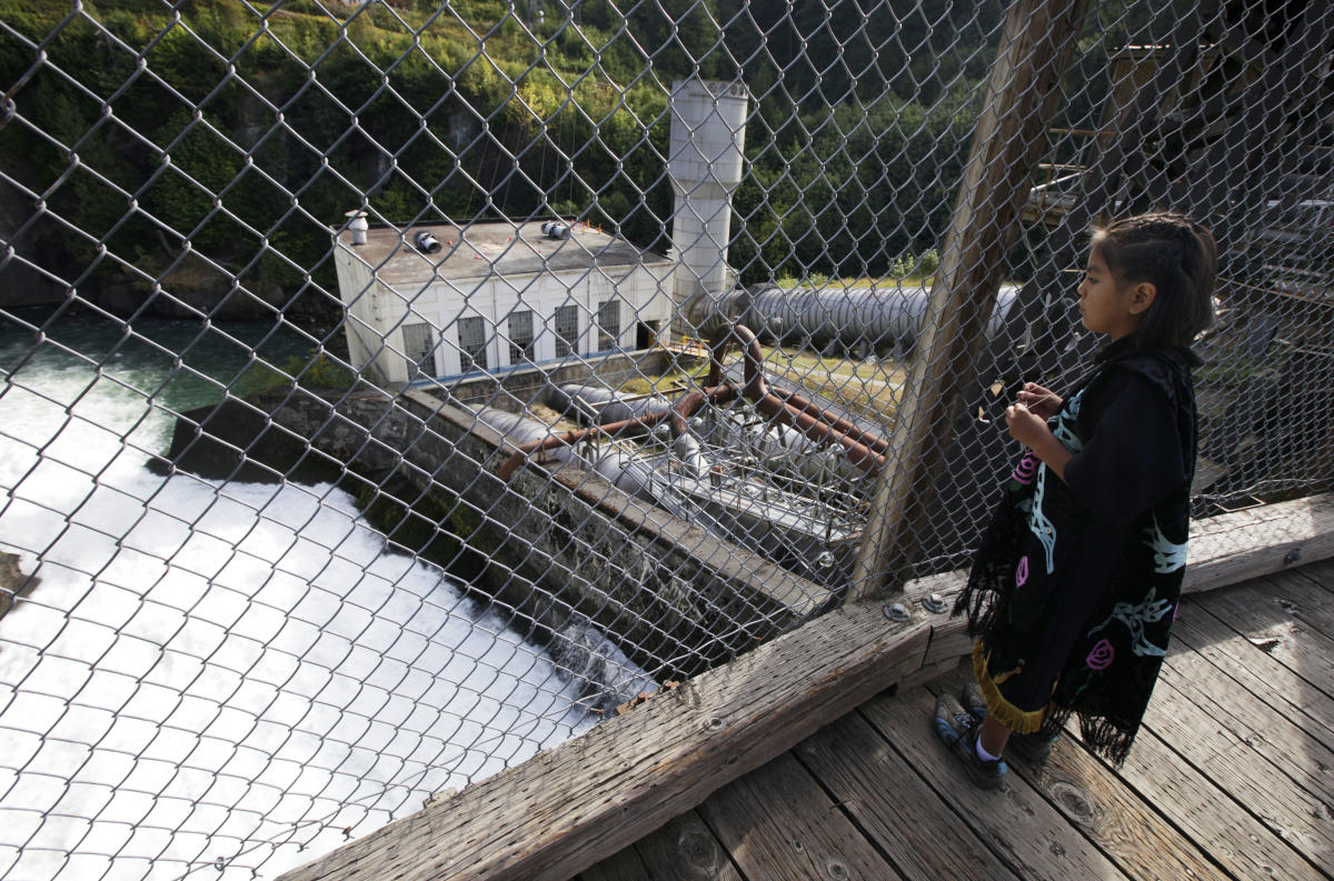 What happened to Washington’s wildlife after the largest dam removal in US history