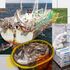 Seafood sold in UK supermarkets may have a dark side