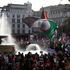 Pro-Palestinian protesters set off fireworks into crowd