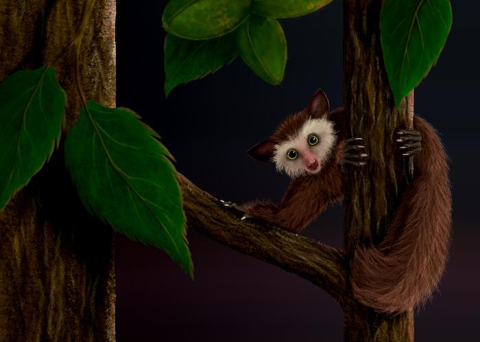 Long Before the Arrival of Humans, a Strange Little Primate Populated the Western United States