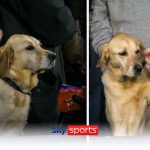 Kennel-Woof Road? | The furriest of fans at Luton | Video | Watch TV Show | Sky Sports