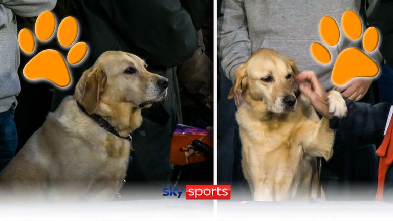 Kennel-Woof Road? | The furriest of fans at Luton | Video | Watch TV Show | Sky Sports