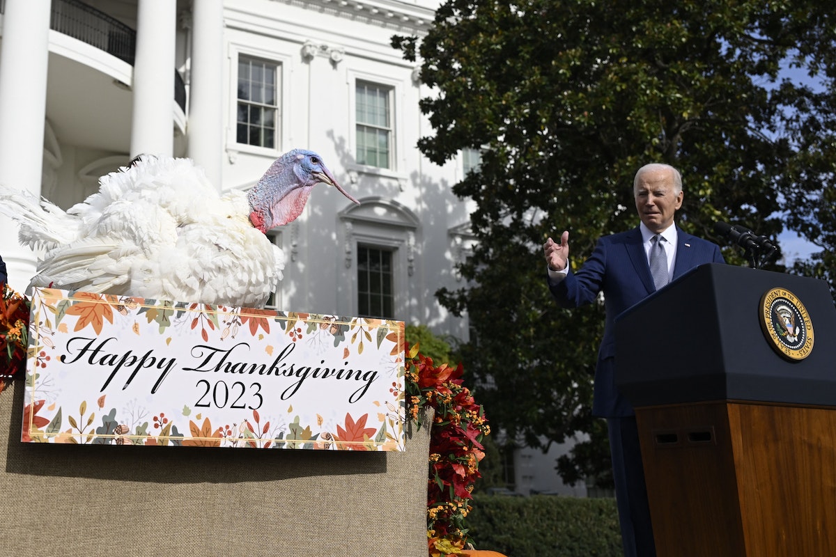 The Turkey Pardon Is a Perfect Emblem of Our Very Dumb Politics