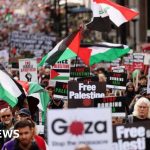 Met Police urges pro-Palestinian march organisers to delay demo