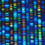 HBCUs are behind the effort to study the genetic variants that affect Black people