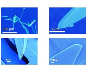 Molybdenene is the “metallic” relative of graphene