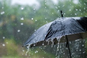 News24 | Saturday’s weather: Widespread, disruptive rain in Eastern Cape but cloudy, warm to hot across SA