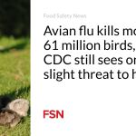 Avian flu kills more than 61 million birds, but CDC still sees only a slight threat to humans