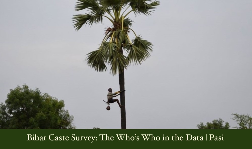 Bihar Caste Survey: The Who’s Who in the Data | Pasi